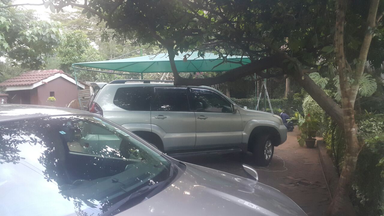 WhatsApp Image 2025-06-23 at 15.15.36